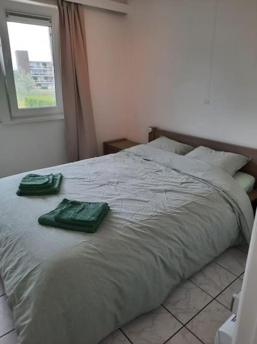 Spacieux Duplex Pres De La Mer 4 Chambres 2 Sdb De Haan Dış mekan fotoğraf